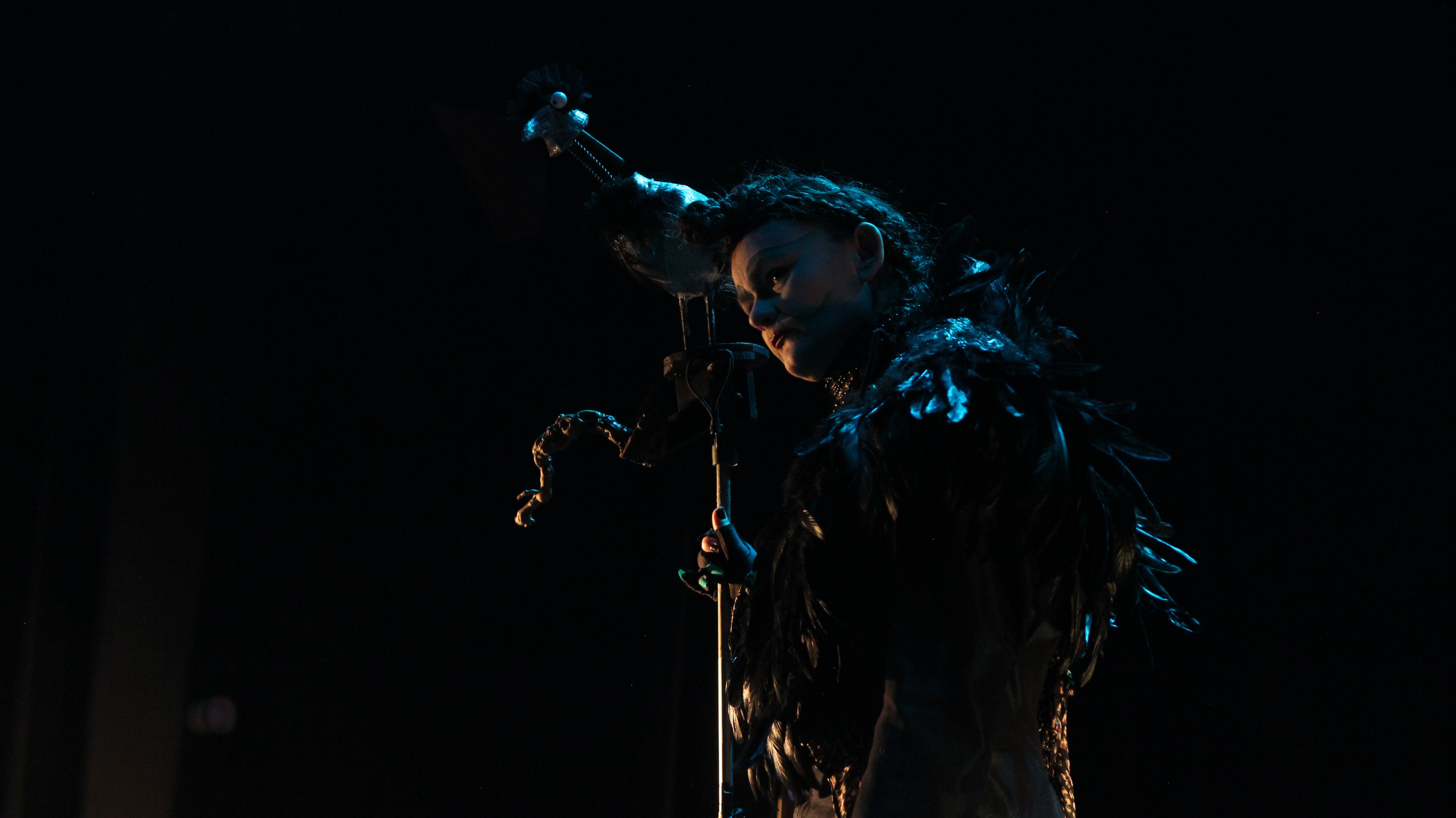 Sylvie Dissa, Un oeil aux portes, Peau de mille bêtes, Stéphane Fert, Sarah Clauzet, Pierre Puech, Louison Rieger, Klovis Martin