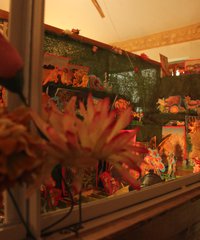 Sylvie Dissa, Un oeil aux portes, Forêt enchantée, L'Espinoa, Mini-forêt