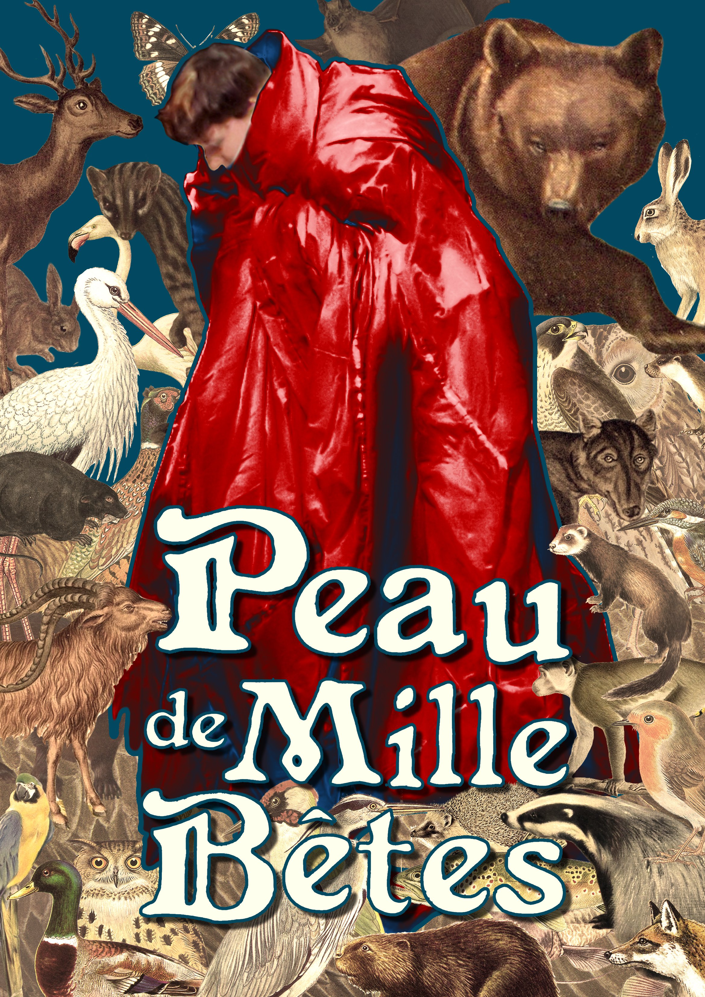 Peau d Mille Betes visiuel 1fond bleu robe rouge2.jpg
